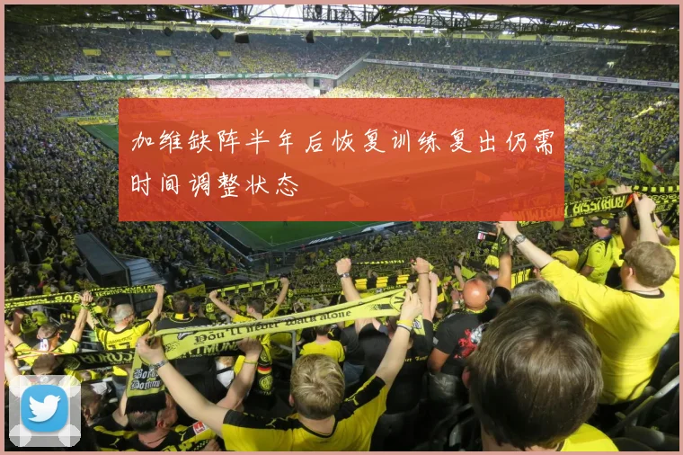 加维缺阵半年后恢复训练复出仍需时间调整状态