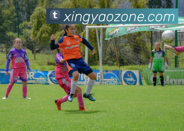 杏耀娱乐平台生态图